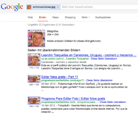 Google Bildersuche